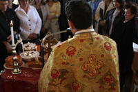 Mosii de iarna - 2009 068