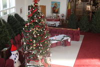 2009-12-27 Impodobirea Sfintei Biserici cu braz,i Decembrie 2009