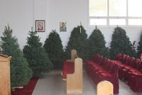 2009-12-27 Impodobirea Sfintei Biserici cu braz,i Decembrie 2009