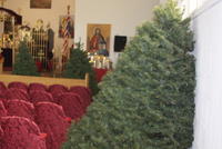 2009-12-27 Impodobirea Sfintei Biserici cu braz,i Decembrie 2009