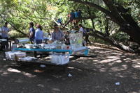 Picnic 15 August 2010 119