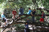 Picnic 15 August 2010 093