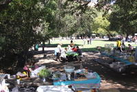 Picnic 15 August 2010 107