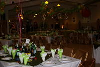 Revelion 2012 003