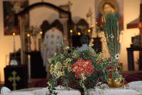 Parastas ridicat de doamna Valentina 001