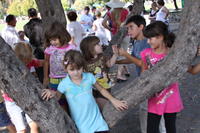 Festivalul Mustului Septembrie 2009 252