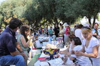 Festivalul Mustului Septembrie 2009 229