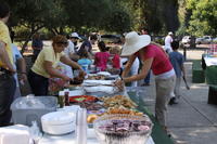 Festivalul Mustului Septembrie 2009 083