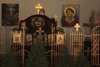 Impodobirea Sfintei Biserici cu braz,i Decembrie 2009 093